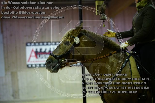 s_K3F06987.JPG
